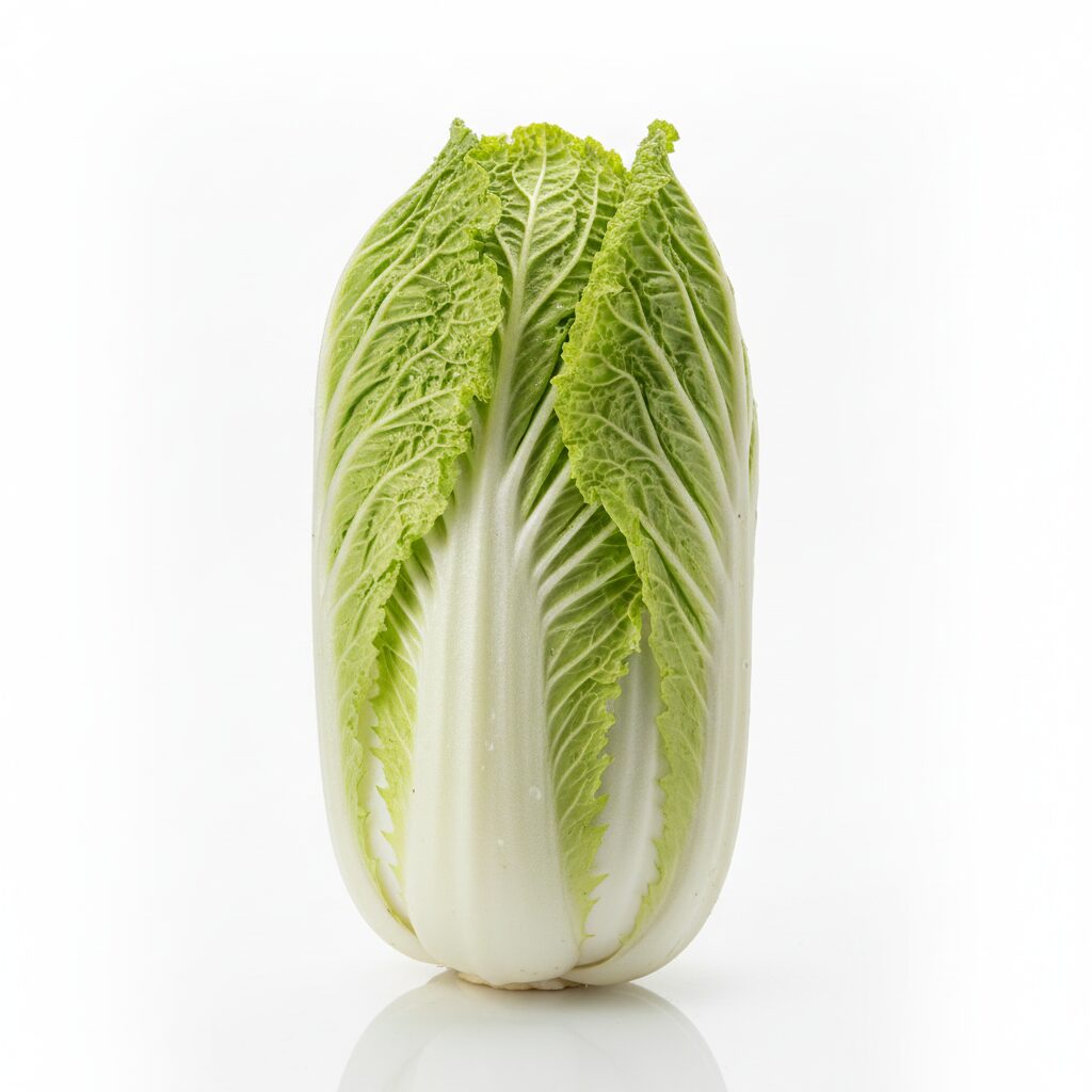 Chinese Cabbage